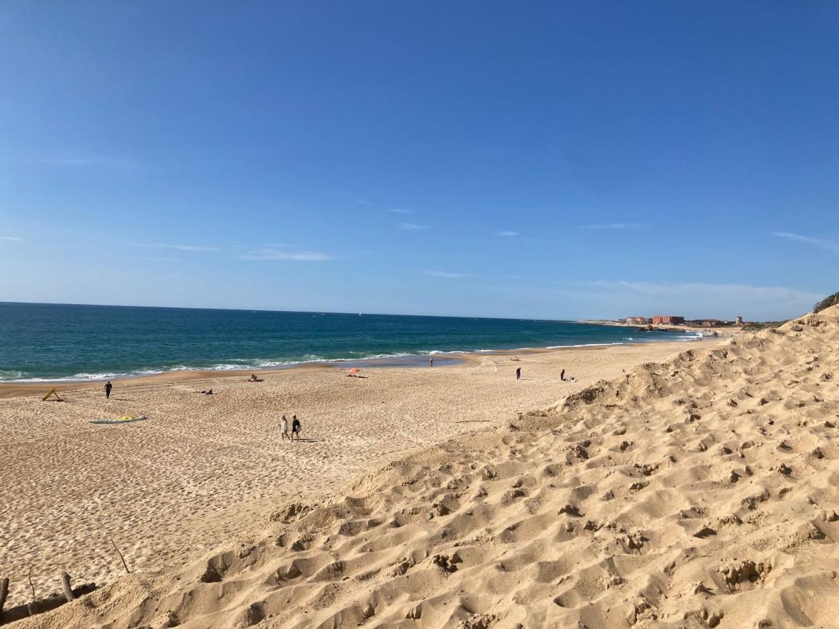 קפברטון Superbe Duplex Proche Centre Et Plages מראה חיצוני תמונה